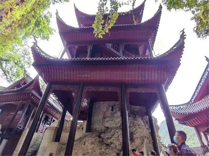 丧尸围城